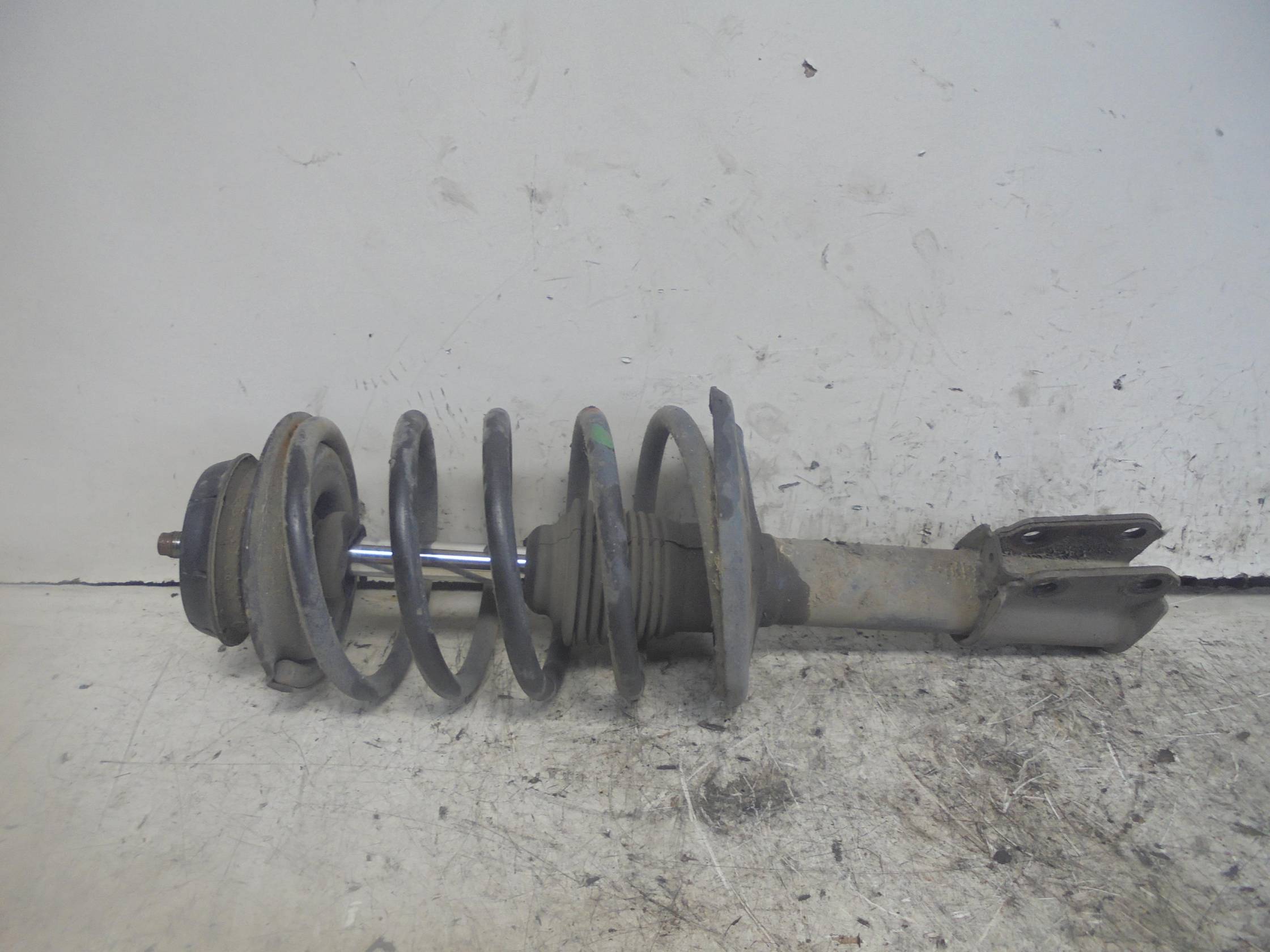 Ammortizzatore ant. sx.